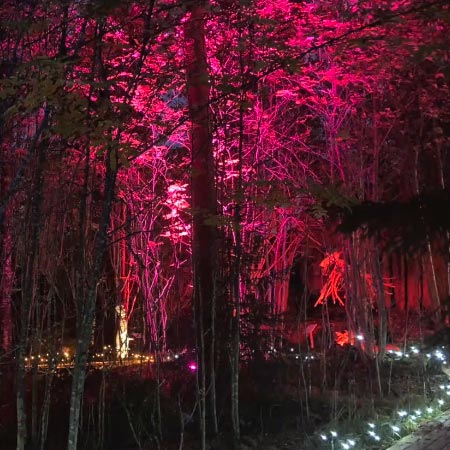 PuuJUMALpuiston valopolku 2024 - katso video