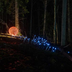 Valopolku 2022, Tohloppi, Tampere - kuva valopolulta 03